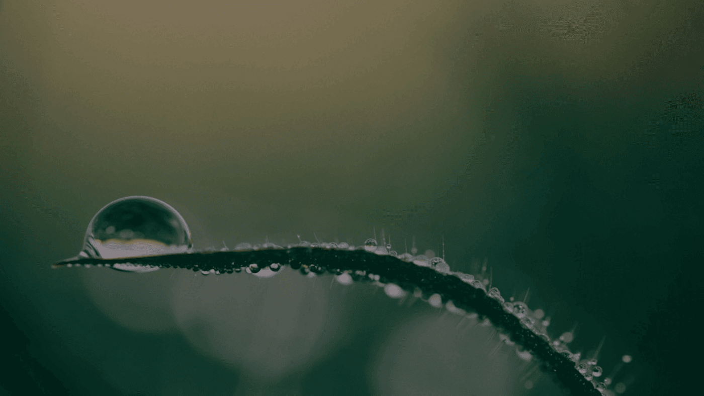 SRT to VTT for HTML5 Video: Fix Common Timestamp and Line-Break Issues Before You Export