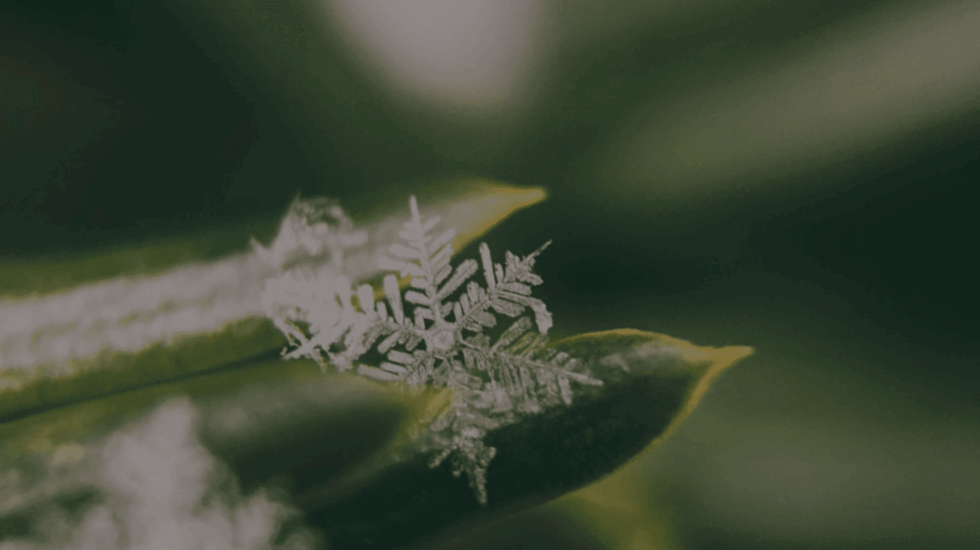 SRT vs ASS vs VTT: Which Subtitle Format Should You Use (and How to Convert in Seconds)