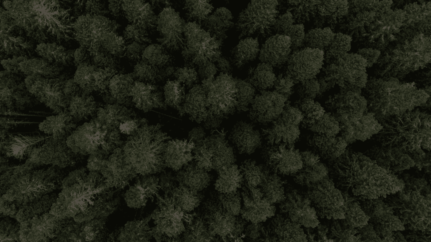 Subtitle Out of Sync? How to Time-Shift SRT/VTT/ASS (Plus Overlap Fix Tips)