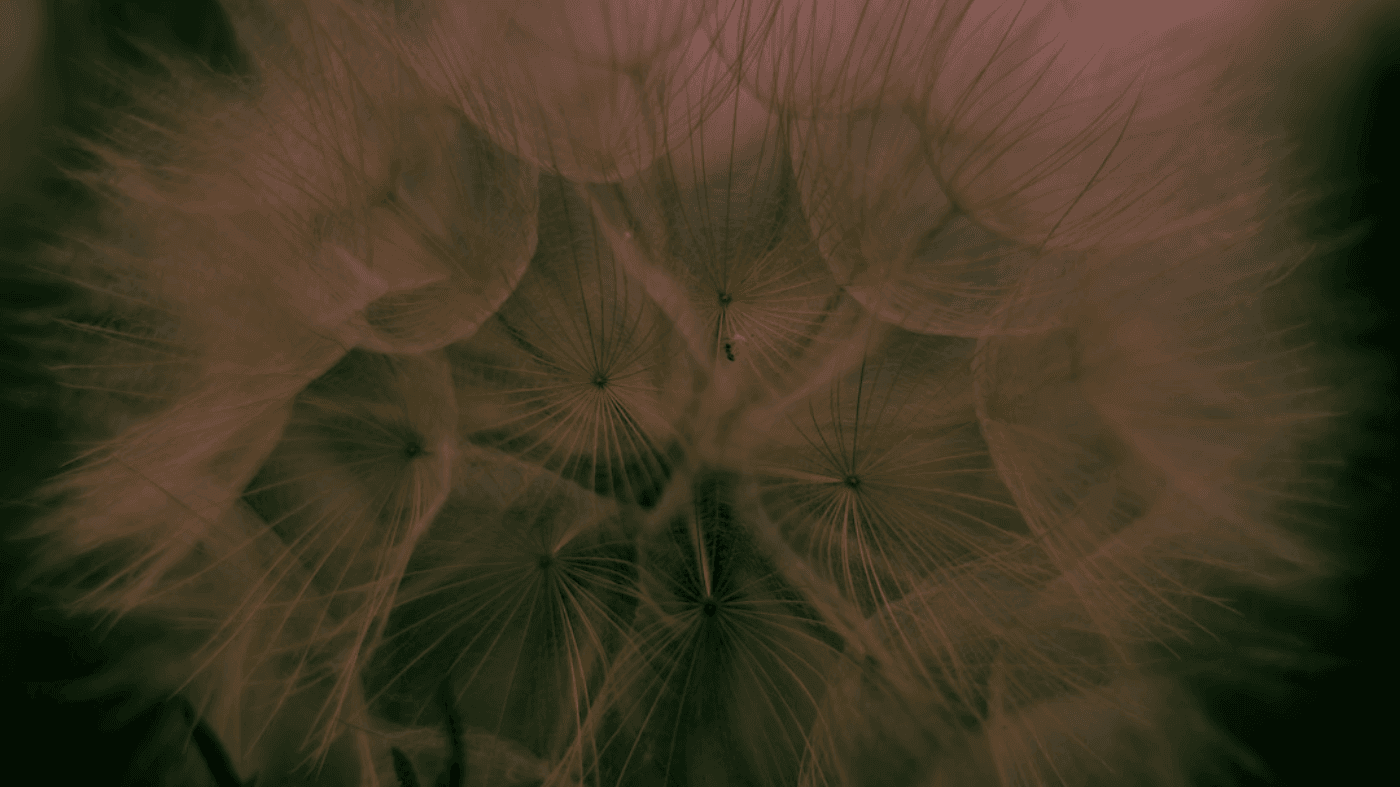 WebVTT to SRT Conversion Guide: What Gets Lost (STYLE/REGION) and How to Fix It